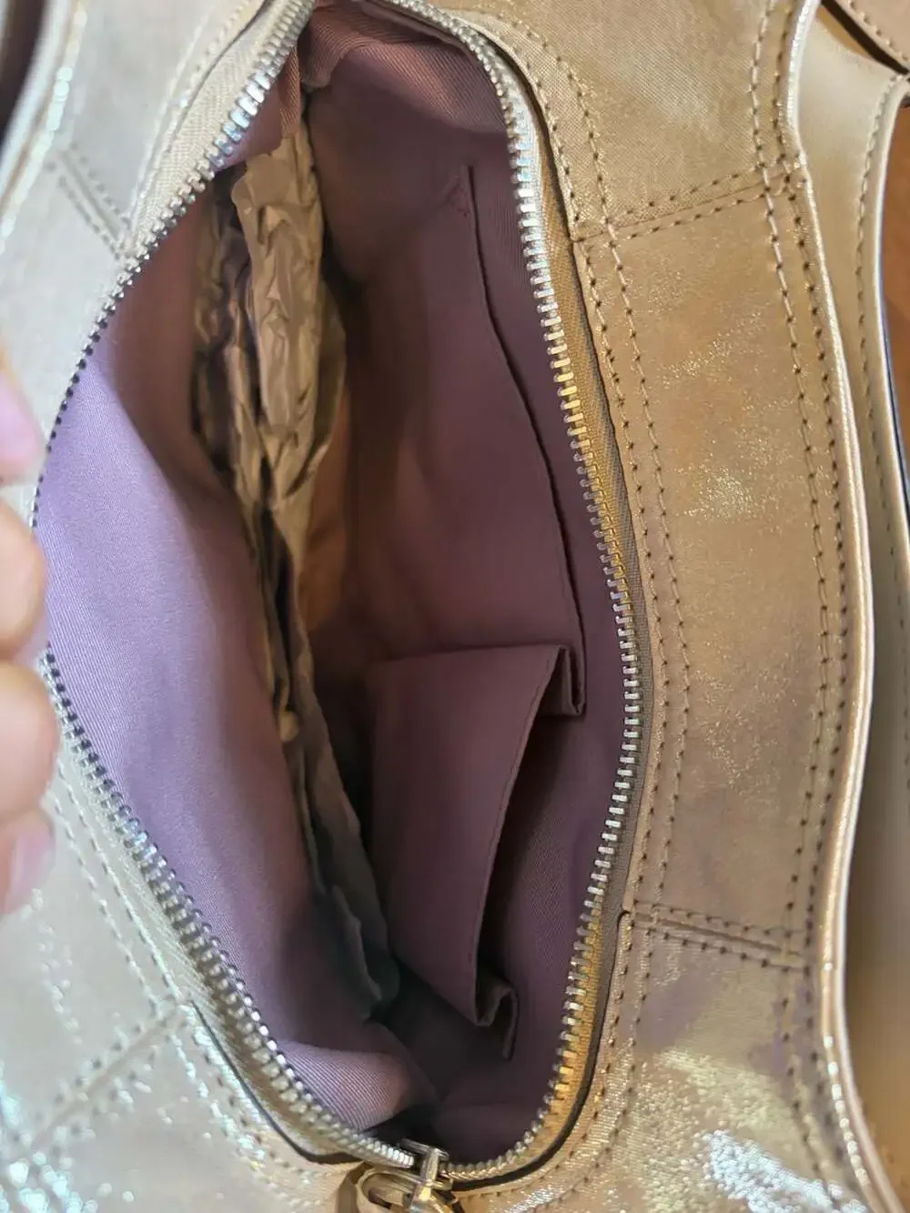 Authentic Coach Lynn Soho Hobo – Metallic Champagne | Never Carried